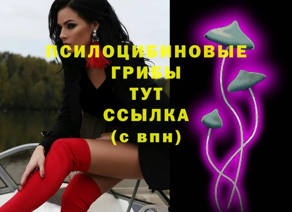 тгк Баксан