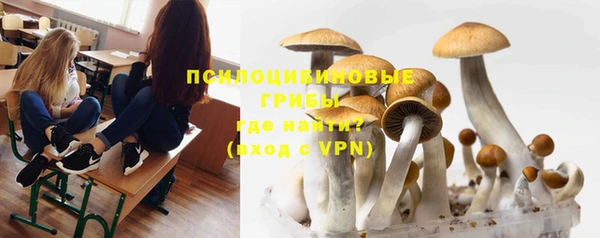 тгк Баксан